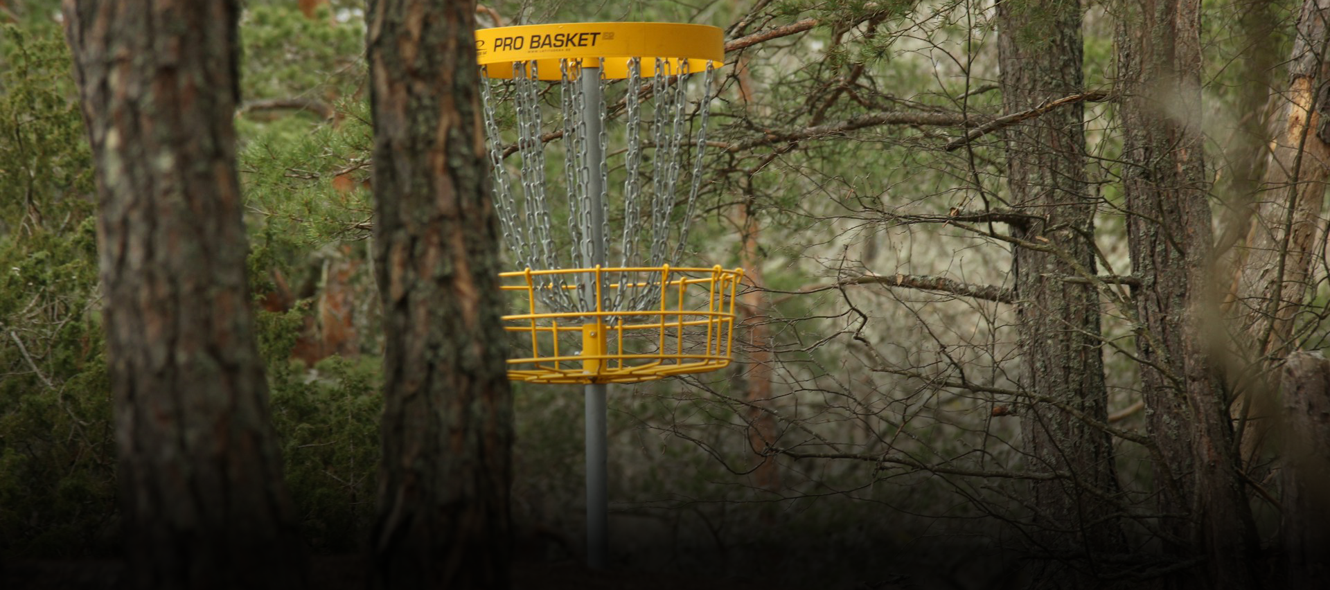 A yellow disc golf basket sitting in the woods.